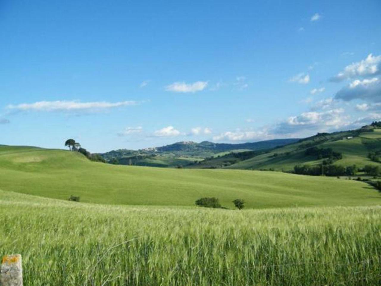 B&B Il Glicine Montefollonico Экстерьер фото
