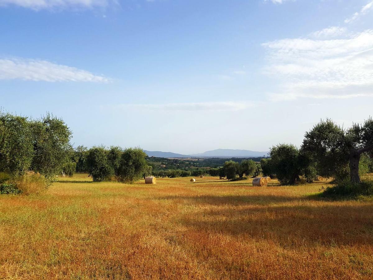 B&B Il Glicine Montefollonico Экстерьер фото